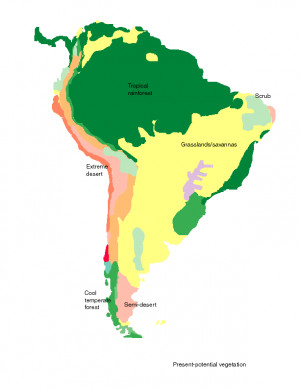 south america vegetation map
