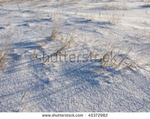 Dry grass under snow surface, sunny day - stock photo