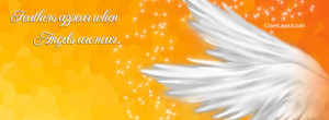 Feathers Appear when Angels are Near Facebook Cover Layout