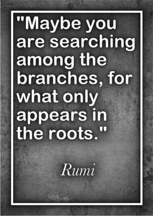 Branches Roots Rumi