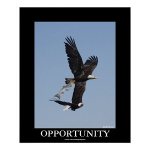 Opportunity Bald Eagles...