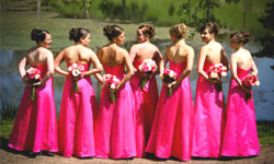 It's no good when bridesmaids turn against you.