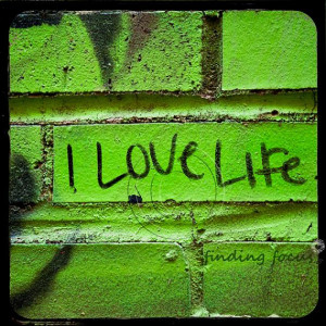 Love Life Key Lime Kelly Green Black Brick Urban by findingfocus, $ ...