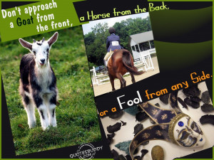 This picture was submitted by Gagandeep kaur.