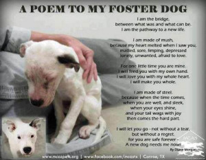 Why become a Foster Home?