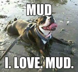 Mud I Love Mud