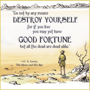 Wisdom from Narnia: