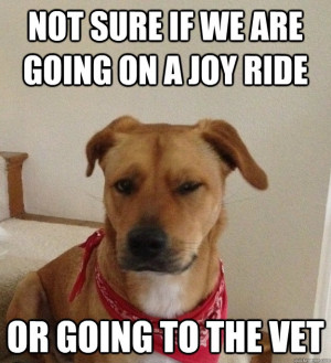 Found on quickmeme.com