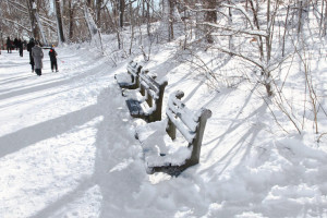 Enough Snow Already Quotes Just enough snow