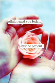 Allah is Al Mujeeb (The One who answers the call). Don't you ever ...