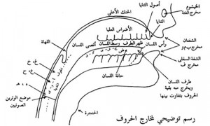 Arabic to English Translation Services | English to Arabic Translation ...