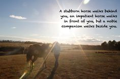 Horse quote - 
