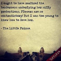 My favorite parts of The Little Prince were the rose and the fox ...