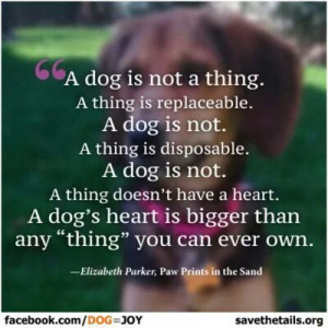 Dog is a Responsibility