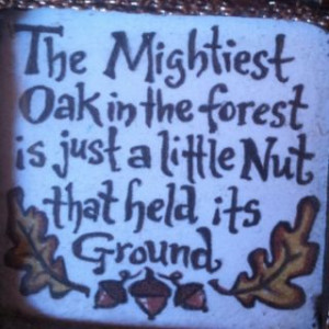 Mighty oak by Danielle