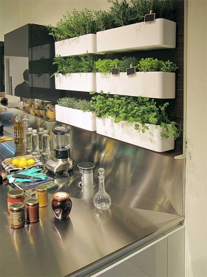 ... say nothing of having fresh herbs right at hand. #Kitchen #Herb_Garden