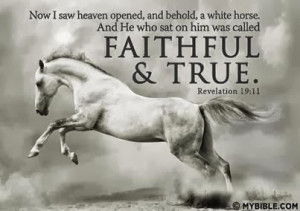 COOLMAMA'S VOICE ON THE BLOG