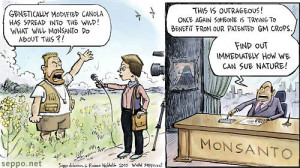 into the wild, keywords: GMO genetically modified genetic engineering ...