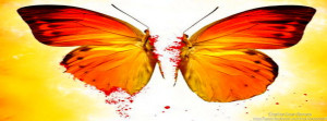 Broken butterfly timeline cover banner