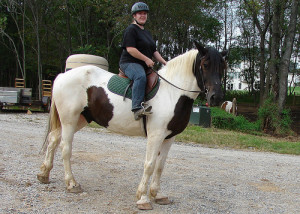 Yuku free message boards