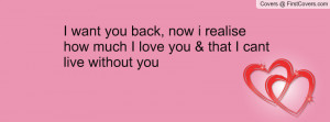 want you back, now i realise how much I love you & that I cant live ...