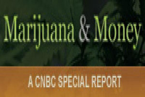 36669473-Marijuana_Money_badge_200x60.600x400.jpg