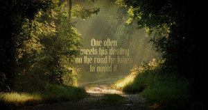 One often meets his destiny on the road he takes to avoid it.