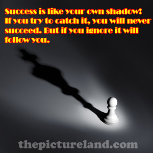 Good Thoughtful Sayings About Success Is Like Your Shadow With Picture ...