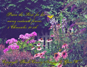 Butterfly Garden Summer Flowers Scripture Pink Wall Decor Magenta Wall ...