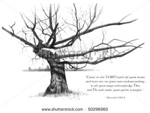 Pencil drawing of Old Tree with Bible Verse from Proverbs
