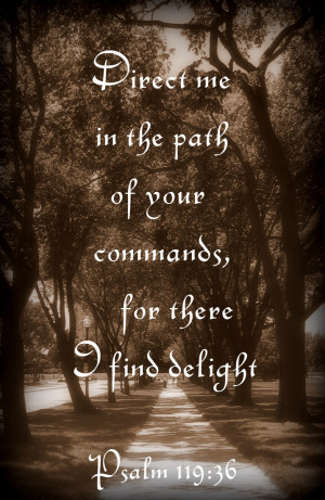 Direct me in the path of your commands, for there I find delight