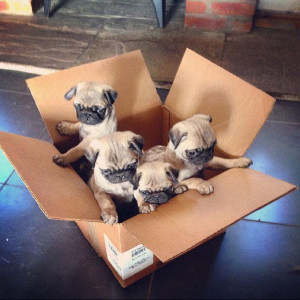 View more photos and videos