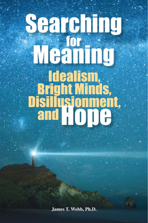 ... for Meaning: Idealism, Bright Minds, Disillusionment, and Hope book