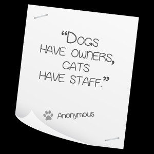 Pet Quotes