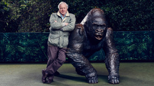 David-Attenboroughs-Natural-Curiosities-S02-03-16x9-1.jpg