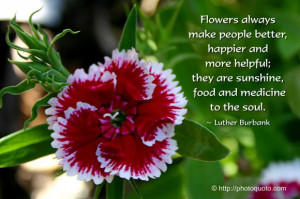 Flowers always make people better, happier and more helpful; they are ...
