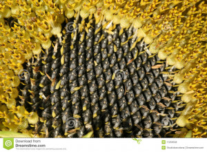 Funny Quotes Contact Us DMCA Notice