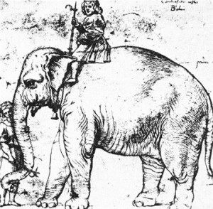 Portrait of Hanno, pet elephant of Pope Leo X