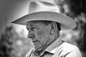 Image of Ray is by Ron Volmershausen and was taken in Windsor, NSW ...