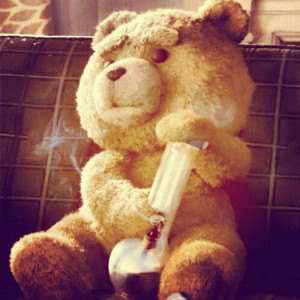 fearstrange:#ted #weed (Tomada con Instagram)