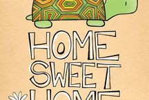 All things turtles / by Amber Seyfried