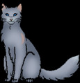 Bluestar - Warrior Cats Wiki - Erin Hunter, The Blazing Star, Dawn of ...