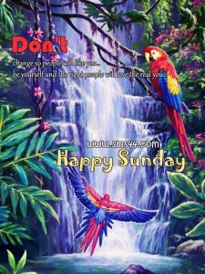 Best Happy Sunday Card Wishes Saying