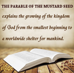 Meaning of The Parable of the Mustard Seed Explained