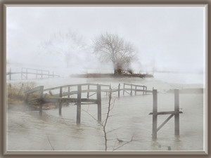 You are viewing the Fog wallpaper named Fog 1. It has been viewed 1247 ...