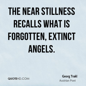 The near stillness recalls what is forgotten, extinct angels.