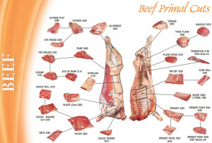 Pork Butcher Cuts Chart Glenvillepacking Meat Charts