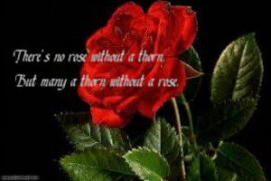 There's no rose without a thorn, but many a thorn without a rose...