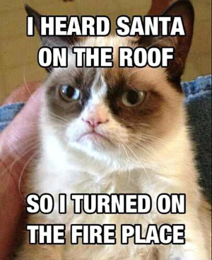 Funny Cats | Top 49 Most Funniest Grumpy Cat Quotes