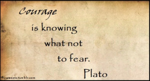 Courage Knowing What Not Fear